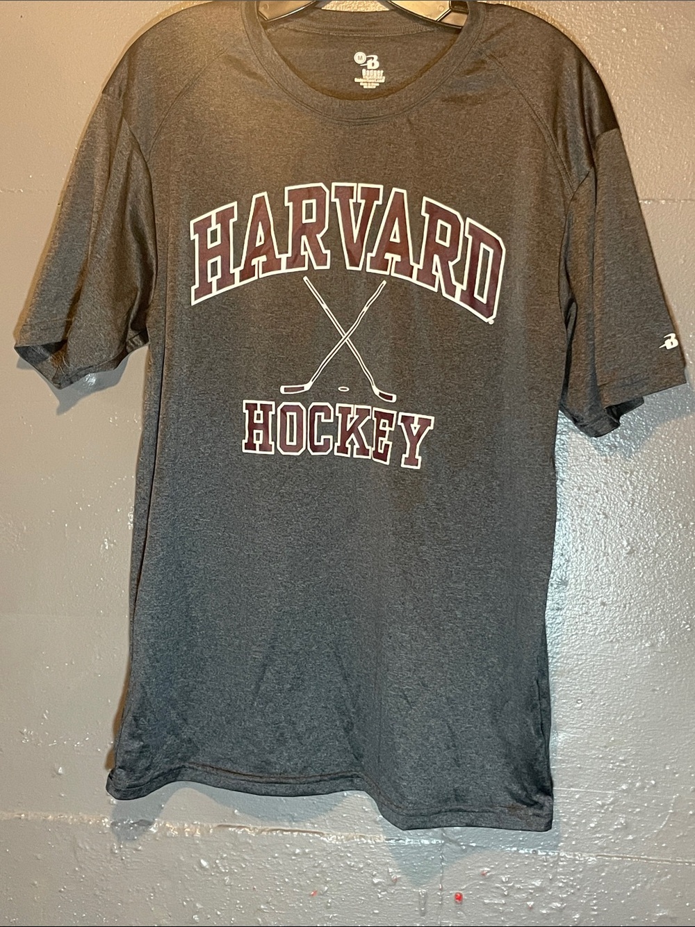 Men's Harvard Hockey Short Sleeve Graphic Tee - Charcoal
